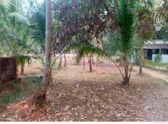 Residential Land for Sale in Thrissur, Chavakkad, Perakom