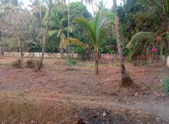 Residential Land for Sale in Thrissur, Chavakkad, Perakom