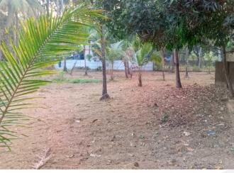 Residential Land for Sale in Thrissur, Chavakkad, Perakom