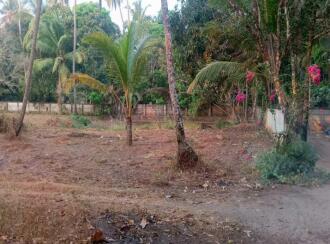Residential Land for Sale in Thrissur, Chavakkad, Perakom