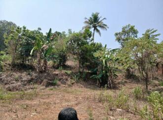 വാസയോഗ്യമായ ഭൂമി വില്പനയ്ക്ക് Pathanamthitta, Kozhencherry, Aranmula, Aranmu;la -Pandalam Bus route. At Nalkalikkal