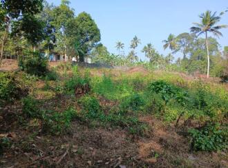 വാസയോഗ്യമായ ഭൂമി വില്പനയ്ക്ക് Pathanamthitta, Kozhencherry, Aranmula, Aranmu;la -Pandalam Bus route. At Nalkalikkal