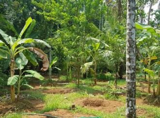 Residential Land for Sale in Thrissur, Kodakara, Kodaly, Puliyanthara