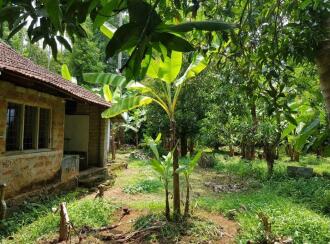 Residential Land for Sale in Thrissur, Kodakara, Kodaly, Puliyanthara