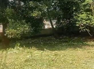 Residential Land for Sale in Malappuram, Nilambur, Nilambur, Padikunnu, nilambur, malappuram district