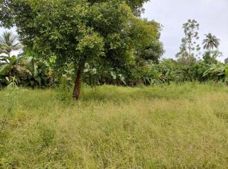 Residential Land for Sale in Kottayam, Kottayam town, Puthuppally