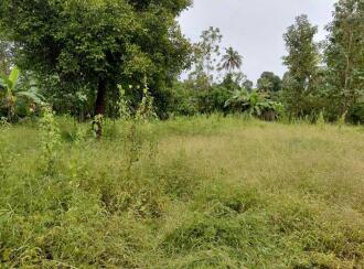 Residential Land for Sale in Kottayam, Kottayam town, Puthuppally