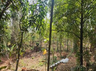 Residential House Villa for Sale in Alleppey, Chengannur, Mulakuzha, Karakkad