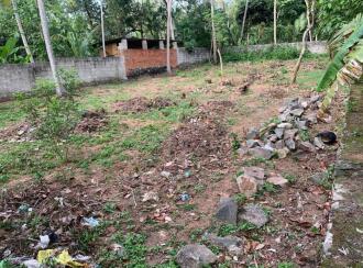 Residential Land for Sale in Trivandrum, Neyyattinkara, Pallichal, Bhagavathinada