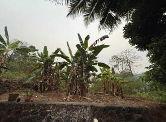 Residential Land for Sale in Pathanamthitta, Ranni, Angadi