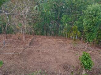 വാസയോഗ്യമായ ഭൂമി വില്പനയ്ക്ക് കോട്ടയം, Mundakayam, Mundakayam, Varikkany