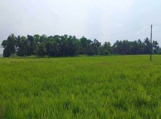 Agricultural Land for Sale in Kottayam, Kottayam town, Veloor, Pathinanchil Kadavu Road, Veloor