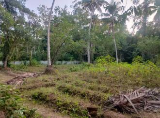 വാസയോഗ്യമായ ഭൂമി വില്പനയ്ക്ക് എറണാകുളം, Paravur, Puthenvelikkara