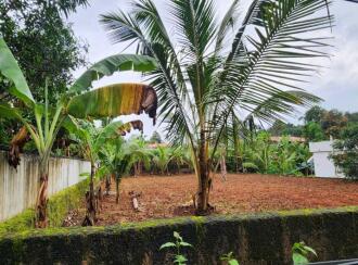 Residential Land for Sale in Pathanamthitta, Thiruvalla, Kumbanad, 9.363434, 76.659066