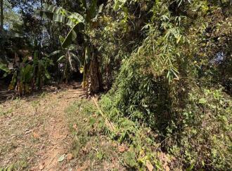 Residential Land for Sale in Alleppey, Chengannur, Peringilipuram, Public Health Centre, Peringilipuram