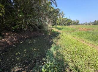 Residential Land for Sale in Alleppey, Chengannur, Peringilipuram, Public Health Centre, Peringilipuram