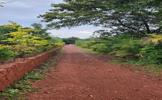 Commercial Land for Sale in Kasargod, Pullur periya, Periye, Payatuchal