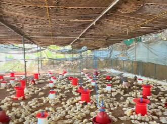 Commercial Building for Sale in Trivandrum, Kattakkada, Kattakkada, Kattakkada