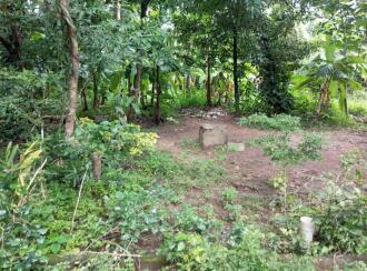 Residential House Villa for Sale in Kottayam, Changanassery, Perunna, Akshara Nagar