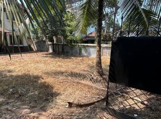 Commercial Land for Sale in Alleppey, Alappuzha, Thathampally, Thodungulangara to Punnamada road