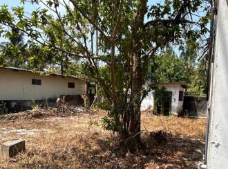 Commercial Land for Sale in Alleppey, Alappuzha, Thathampally, Thodungulangara to Punnamada road