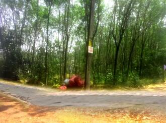 Residential Land for Sale in Ernakulam, Perumbavoor, Vengola