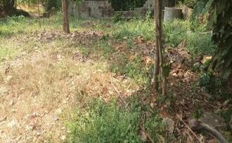 Residential Land for Sale in Pathanamthitta, Mallappally, Mallapally, Mallappally town