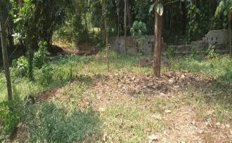 Residential Land for Sale in Pathanamthitta, Mallappally, Mallapally, Mallappally town