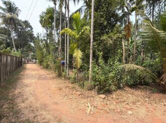 Residential Land for Sale in Thrissur, Irinjalakuda, Thanissery, Near tharananellur arts and science college