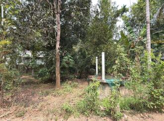Residential Land for Sale in Thrissur, Irinjalakuda, Thanissery, Near tharananellur arts and science college