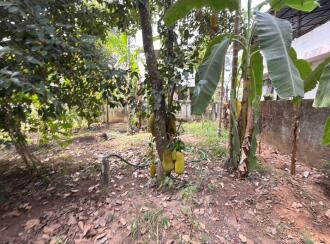 Residential Land for Sale in Thrissur, Irinjalakuda, Thanissery, Near tharananellur arts and science college