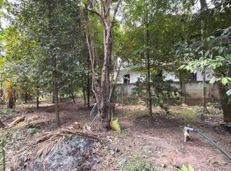 Residential Land for Sale in Thrissur, Irinjalakuda, Thanissery, Near tharananellur arts and science college