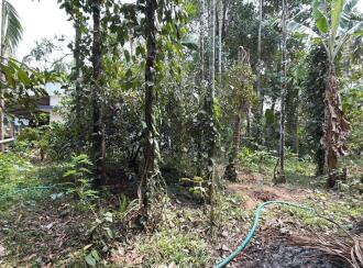 Residential Land for Sale in Thrissur, Irinjalakuda, Thanissery, Near tharananellur arts and science college