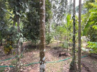 Residential Land for Sale in Thrissur, Irinjalakuda, Thanissery, Near tharananellur arts and science college
