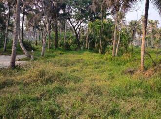 Commercial Land for SaleThrissur, Irinjalakuda, Edathiriji
