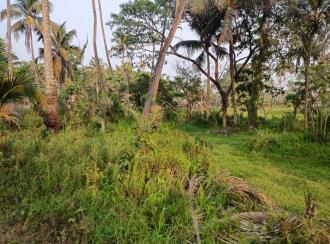 Commercial Land for Sale in Thrissur, Irinjalakuda, Edathiriji, Kakkathuruthy petrol pump Opposite