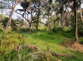 Commercial Land for Sale in Thrissur, Irinjalakuda, Edathiriji, Kakkathuruthy petrol pump Opposite