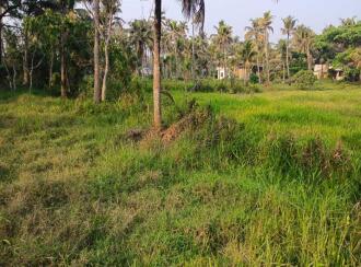 Commercial Land for Sale in Thrissur, Irinjalakuda, Edathiriji, Kakkathuruthy petrol pump Opposite