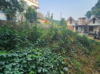 Residential Land for Sale in Kottayam, Pampady, 7th mile, Velloor