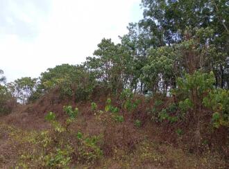 Agricultural Land for Sale in Kottayam, Pampady, 12th mile, Kothala Nenmala Road