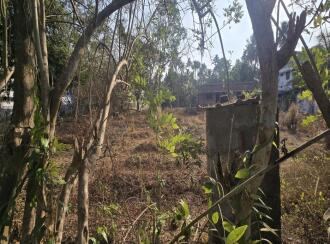 Residential Land for Sale in Thrissur, Irinjalakuda, Vazhiyambalam, Kaipamangalam