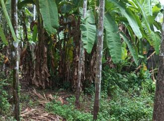 Residential House Villa for Sale in Ernakulam, Paravur, North Paravur , Chennamangalam (Thekkumpuram)[/b] Prime location near SNDP, Thekkumpuram