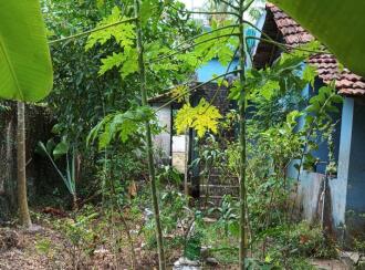 Residential House Villa for Sale in Ernakulam, Paravur, North Paravur , Chennamangalam (Thekkumpuram)[/b] Prime location near SNDP, Thekkumpuram