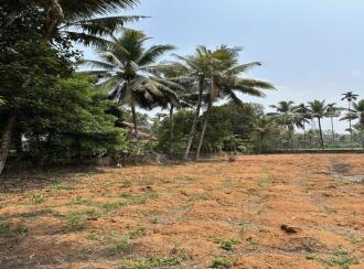 Residential Land for Sale in Ernakulam, Kothamangalam, Kuthukuzhy, NH