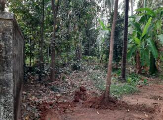 Residential Land for Sale in Thrissur, Mundur, Mundur, ARAKKAL(H) P.O Mundur , Thrissur PIN-680541