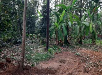 Residential Land for Sale in Thrissur, Mundur, Mundur, ARAKKAL(H) P.O Mundur , Thrissur PIN-680541