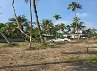 വാസയോഗ്യമായ ഭൂമി വില്പനയ്ക്ക് Alleppey, Aroor, Aroor, Vattakkeril Temple Road