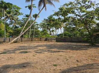 വാസയോഗ്യമായ ഭൂമി വില്പനയ്ക്ക് Alleppey, Aroor, Aroor, Vattakkeril Temple Road