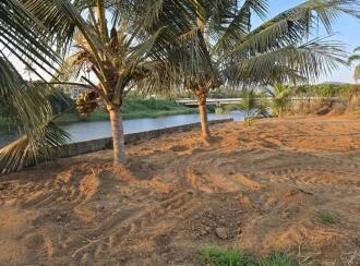 Residential Land for Sale in Thrissur, Chalakudy, Meloor, Vettukadavu bridge
