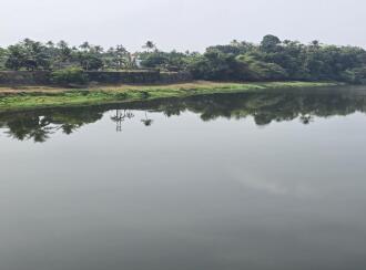 Residential Land for Sale in Thrissur, Chalakudy, Meloor, Vettukadavu bridge